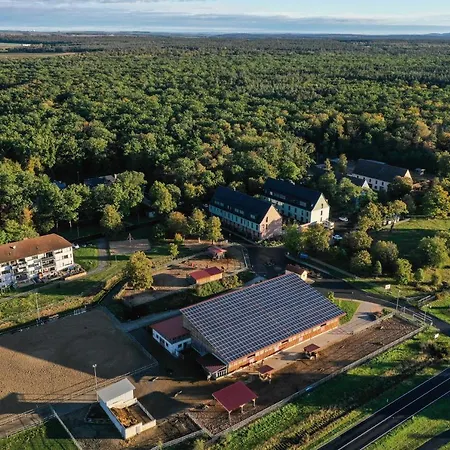 Cavallestro Deluxe Kitzingen